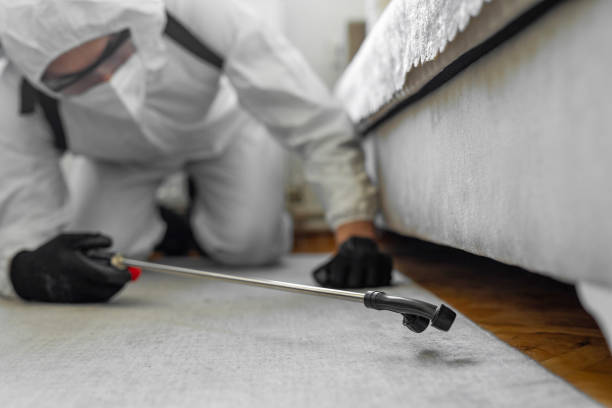 Professional Bed Bug Control technician working in Mineral Point, WI